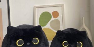 faire_b3_17 Cute Black Cat Plush Toy PILLOW_CWMM0862